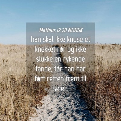Picture 04 - Matteus 12:20 NORSK - han skal ikke knuse et knekket rør og ikke - Bible Verse Picture