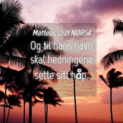 Picture 04 - Matteus 12:21 NORSK - Og til hans navn skal hedningene sette sitt - Bible Verse Picture