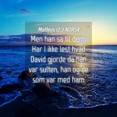 Picture 04 - Matteus 12:3 NORSK - Men han sa til dem: Har I ikke lest hvad David - Bible Verse Picture
