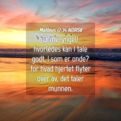 Picture 04 - Matteus 12:34 NORSK - Orme-yngel! hvorledes kan I tale godt, I som er - Bible Verse Picture
