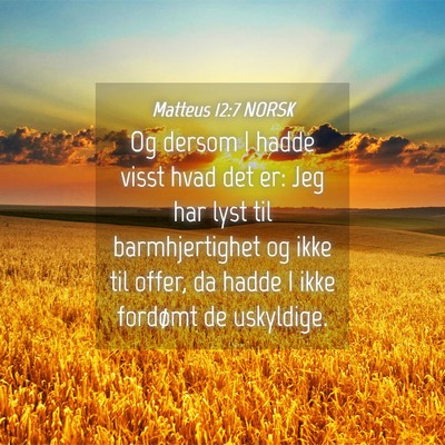 Picture 04 - Matteus 12:7 NORSK - Og dersom I hadde visst hvad det er: Jeg har lyst - Bible Verse Picture