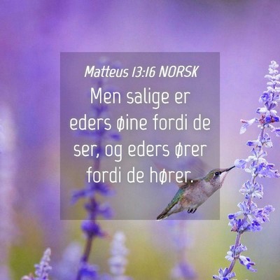 Picture 04 - Matteus 13:16 NORSK - Men salige er eders øine fordi de ser, og eders - Bible Verse Picture