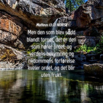 Picture 04 - Matteus 13:22 NORSK - Men den som blev sådd blandt torner, det er den - Bible Verse Picture