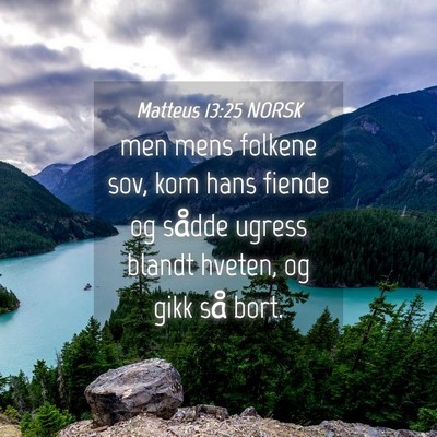 Picture 04 - Matteus 13:25 NORSK - men mens folkene sov, kom hans fiende og sådde - Bible Verse Picture
