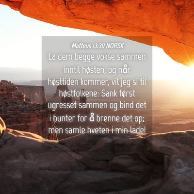 Picture 04 - Matteus 13:30 NORSK - La dem begge vokse sammen inntil høsten, og når - Bible Verse Picture
