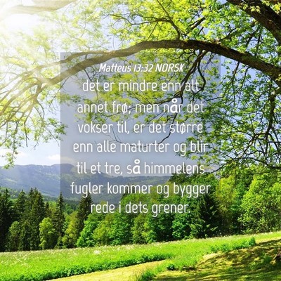 Picture 04 - Matteus 13:32 NORSK - det er mindre enn alt annet frø; men når det - Bible Verse Picture