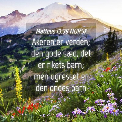 Picture 04 - Matteus 13:38 NORSK - Akeren er verden; den gode sæd, det er rikets - Bible Verse Picture