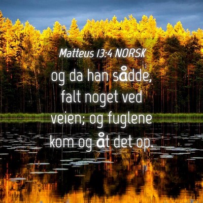 Picture 04 - Matteus 13:4 NORSK - og da han sådde, falt noget ved veien; og - Bible Verse Picture