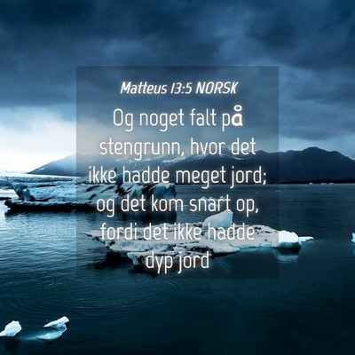 Picture 04 - Matteus 13:5 NORSK - Og noget falt på stengrunn, hvor det ikke hadde - Bible Verse Picture