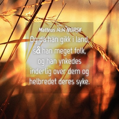 Picture 04 - Matteus 14:14 NORSK - Og da han gikk i land, så han meget folk, og han - Bible Verse Picture