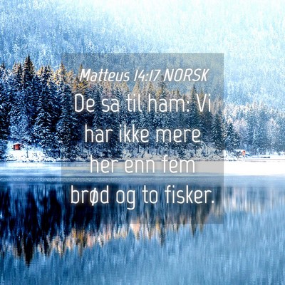 Picture 04 - Matteus 14:17 NORSK - De sa til ham: Vi har ikke mere her enn fem brød - Bible Verse Picture