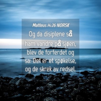Picture 04 - Matteus 14:26 NORSK - Og da disiplene så ham vandre på sjøen, blev - Bible Verse Picture