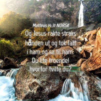 Picture 04 - Matteus 14:31 NORSK - Og Jesus rakte straks hånden ut og tok fatt i - Bible Verse Picture