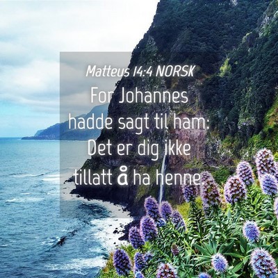 Picture 04 - Matteus 14:4 NORSK - For Johannes hadde sagt til ham: Det er dig ikke - Bible Verse Picture