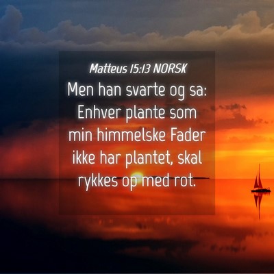 Picture 04 - Matteus 15:13 NORSK - Men han svarte og sa: Enhver plante som min - Bible Verse Picture