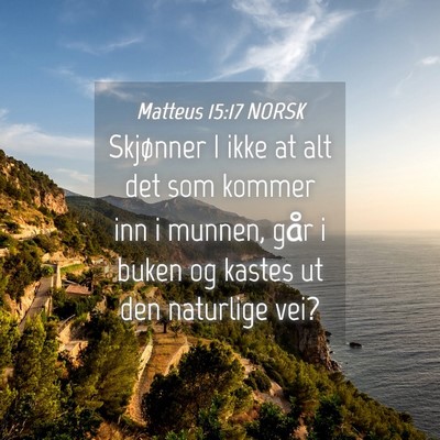 Picture 04 - Matteus 15:17 NORSK - Skjønner I ikke at alt det som kommer inn i - Bible Verse Picture