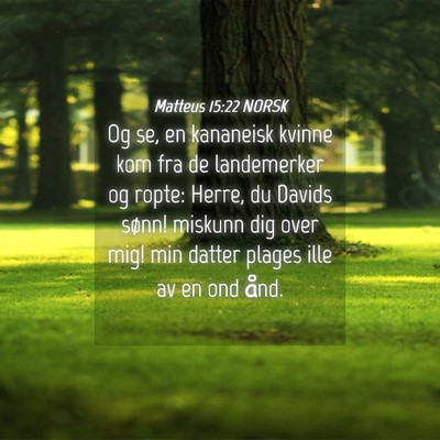 Picture 04 - Matteus 15:22 NORSK - Og se, en kananeisk kvinne kom fra de landemerker - Bible Verse Picture
