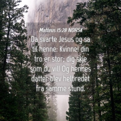Picture 04 - Matteus 15:28 NORSK - Da svarte Jesus og sa til henne: Kvinne! din tro - Bible Verse Picture