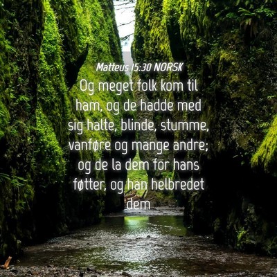 Picture 04 - Matteus 15:30 NORSK - Og meget folk kom til ham, og de hadde med sig - Bible Verse Picture