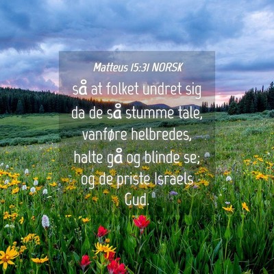 Picture 04 - Matteus 15:31 NORSK - så at folket undret sig da de så stumme tale, - Bible Verse Picture