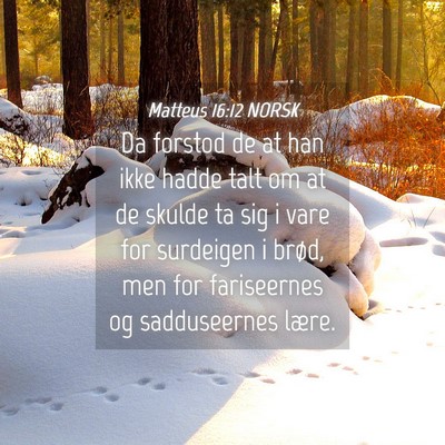 Picture 04 - Matteus 16:12 NORSK - Da forstod de at han ikke hadde talt om at de - Bible Verse Picture