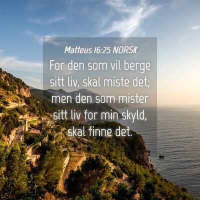 Picture 04 - Matteus 16:25 NORSK - For den som vil berge sitt liv, skal miste det; - Bible Verse Picture