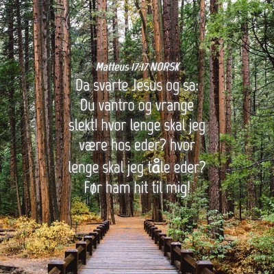 Picture 04 - Matteus 17:17 NORSK - Da svarte Jesus og sa: Du vantro og vrange slekt! - Bible Verse Picture
