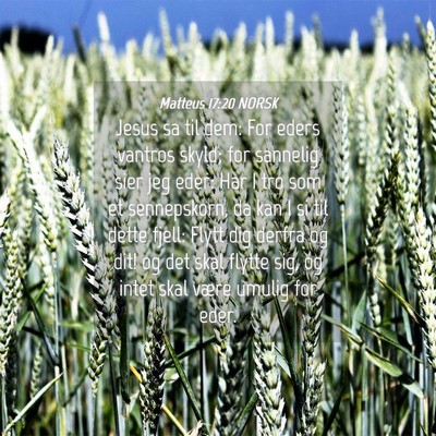 Picture 04 - Matteus 17:20 NORSK - Jesus sa til dem: For eders vantros skyld; for - Bible Verse Picture
