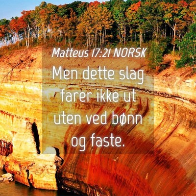 Picture 04 - Matteus 17:21 NORSK - Men dette slag farer ikke ut uten ved bønn og - Bible Verse Picture