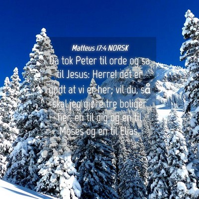 Picture 04 - Matteus 17:4 NORSK - Da tok Peter til orde og sa til Jesus: Herre! det - Bible Verse Picture