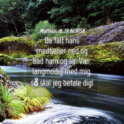 Picture 04 - Matteus 18:29 NORSK - Da falt hans medtjener ned og bad ham og sa: Vær - Bible Verse Picture