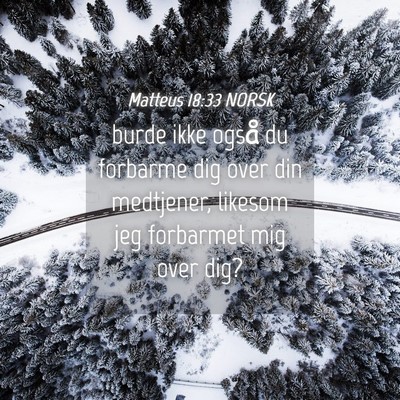 Picture 04 - Matteus 18:33 NORSK - burde ikke også du forbarme dig over din - Bible Verse Picture
