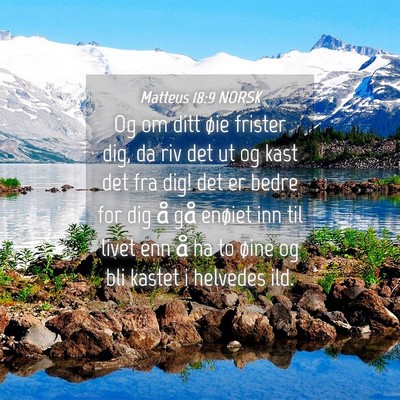 Picture 04 - Matteus 18:9 NORSK - Og om ditt øie frister dig, da riv det ut og - Bible Verse Picture
