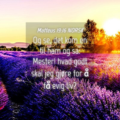 Picture 04 - Matteus 19:16 NORSK - Og se, det kom en til ham og sa: Mester! hvad - Bible Verse Picture