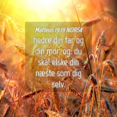 Picture 04 - Matteus 19:19 NORSK - hedre din far og din mor, og: du skal elske din - Bible Verse Picture