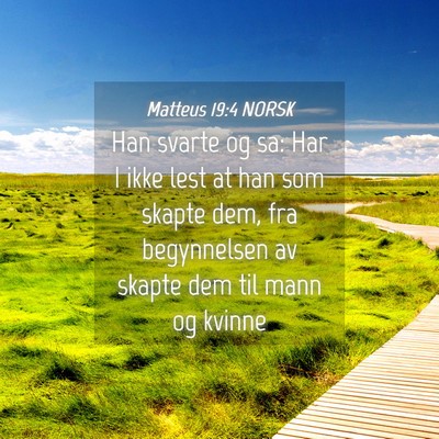 Picture 04 - Matteus 19:4 NORSK - Han svarte og sa: Har I ikke lest at han som - Bible Verse Picture