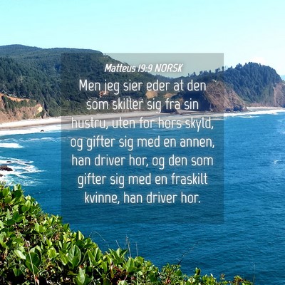 Picture 04 - Matteus 19:9 NORSK - Men jeg sier eder at den som skiller sig fra sin - Bible Verse Picture