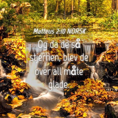 Picture 04 - Matteus 2:10 NORSK - Og da de så stjernen, blev de over all måte - Bible Verse Picture