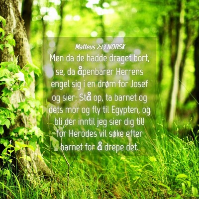 Picture 04 - Matteus 2:13 NORSK - Men da de hadde draget bort, se, da åpenbarer - Bible Verse Picture
