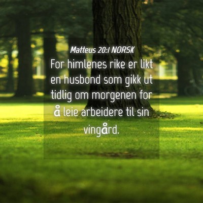 Picture 04 - Matteus 20:1 NORSK - For himlenes rike er likt en husbond som gikk ut - Bible Verse Picture