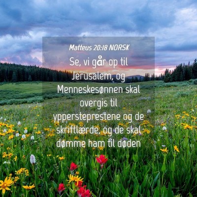 Picture 04 - Matteus 20:18 NORSK - Se, vi går op til Jerusalem, og Menneskesønnen - Bible Verse Picture