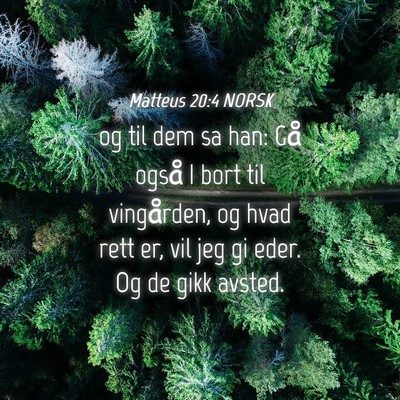 Picture 04 - Matteus 20:4 NORSK - og til dem sa han: Gå også I bort til - Bible Verse Picture