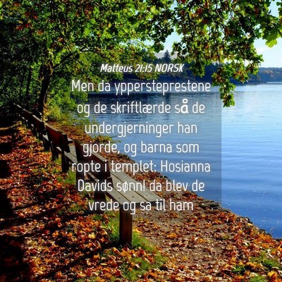 Picture 04 - Matteus 21:15 NORSK - Men da yppersteprestene og de skriftlærde så de - Bible Verse Picture
