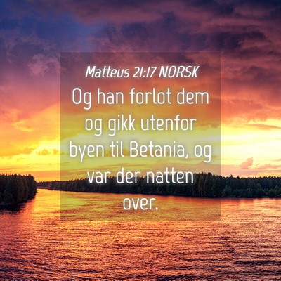 Picture 04 - Matteus 21:17 NORSK - Og han forlot dem og gikk utenfor byen til - Bible Verse Picture