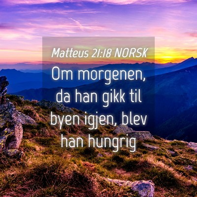 Picture 04 - Matteus 21:18 NORSK - Om morgenen, da han gikk til byen igjen, blev han - Bible Verse Picture