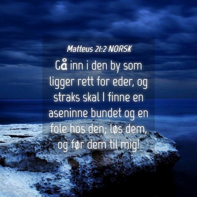 Picture 04 - Matteus 21:2 NORSK - Gå inn i den by som ligger rett for eder, og - Bible Verse Picture
