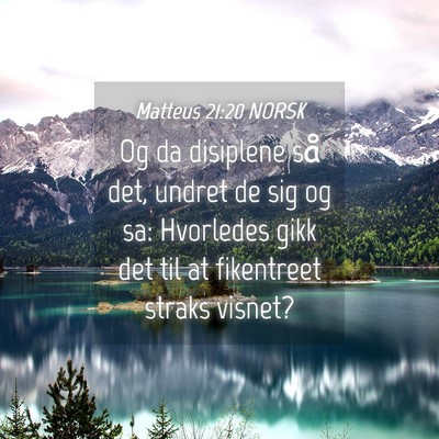 Picture 04 - Matteus 21:20 NORSK - Og da disiplene så det, undret de sig og sa: - Bible Verse Picture