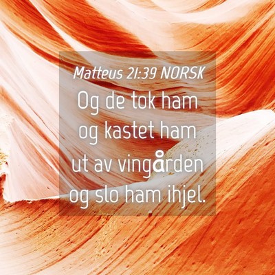 Picture 04 - Matteus 21:39 NORSK - Og de tok ham og kastet ham ut av vingården og - Bible Verse Picture