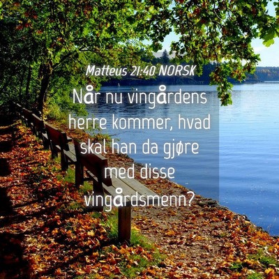 Picture 04 - Matteus 21:40 NORSK - Når nu vingårdens herre kommer, hvad skal han - Bible Verse Picture