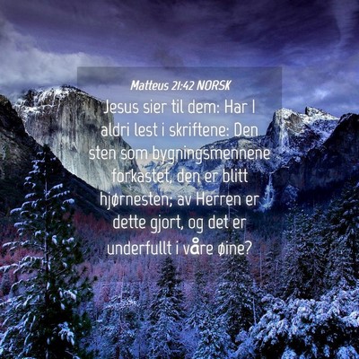 Picture 04 - Matteus 21:42 NORSK - Jesus sier til dem: Har I aldri lest i skriftene: - Bible Verse Picture